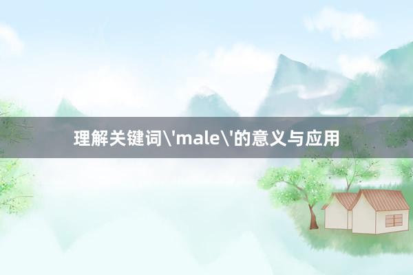 理解关键词'male'的意义与应用